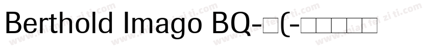Berthold Imago BQ-中(字体转换